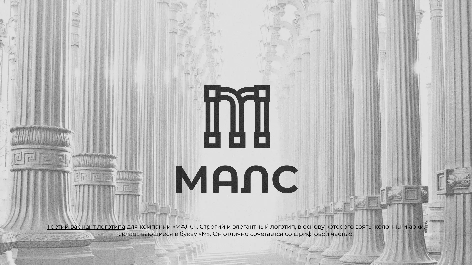 Разработка логотипа компании «МАЛС» в Канске