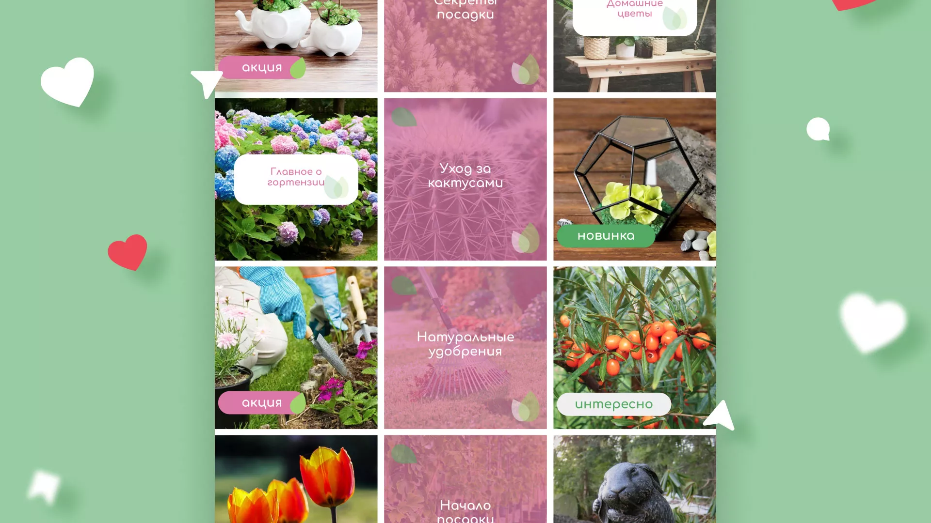 Разработка оформления профиля Instagram для магазина «Floraint» в Канске