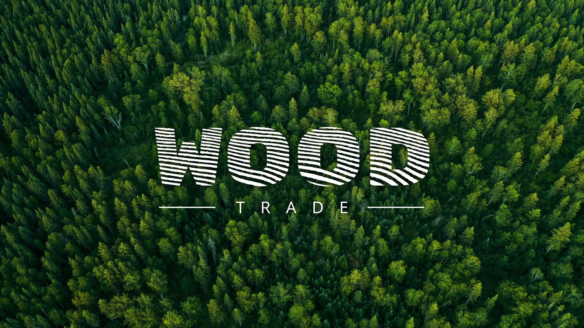 Разработка интернет-магазина компании «Wood Trade» в Канске